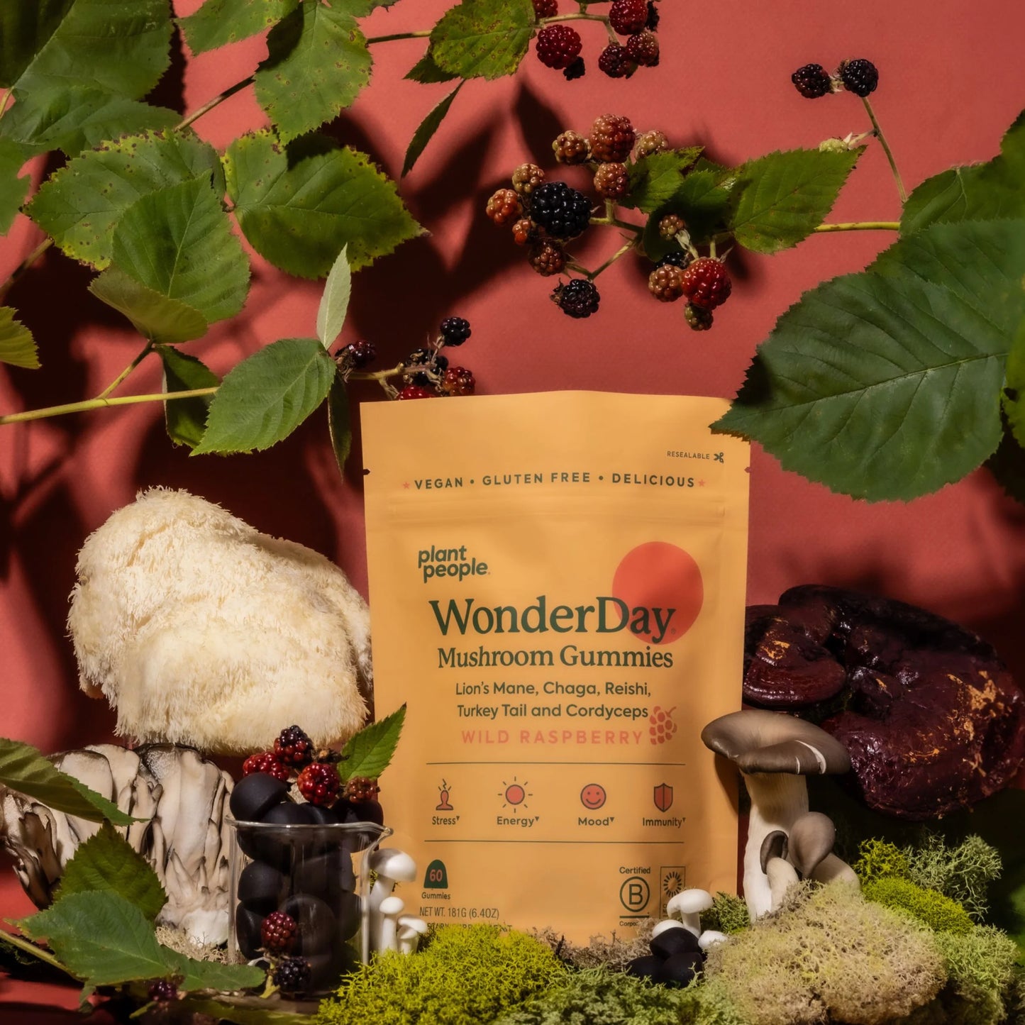 Plant People Wonder Day Mushroom Gummies 30 Day Bag